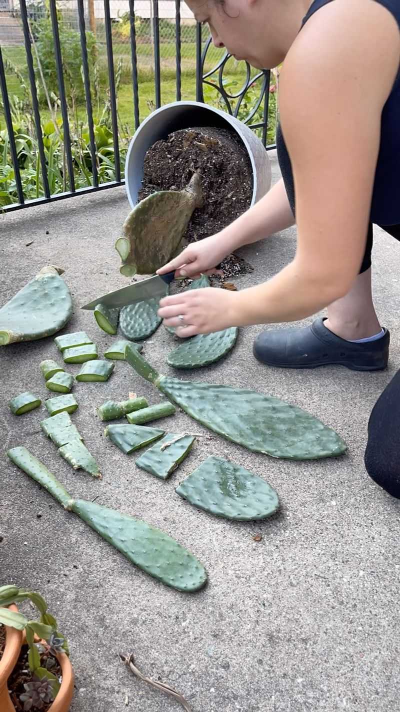 Propagate And Handle Pads Safely