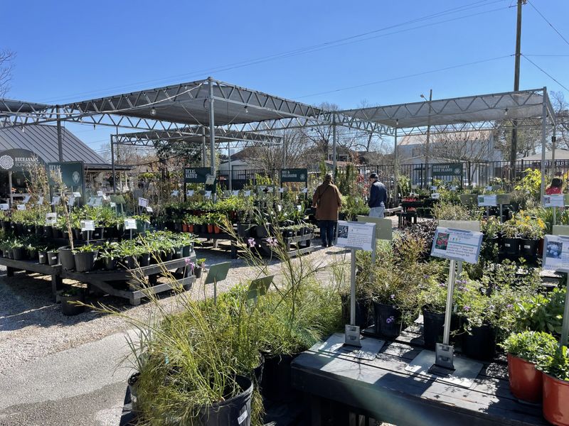 Houston Nurseries Understand Gulf Coast Grit