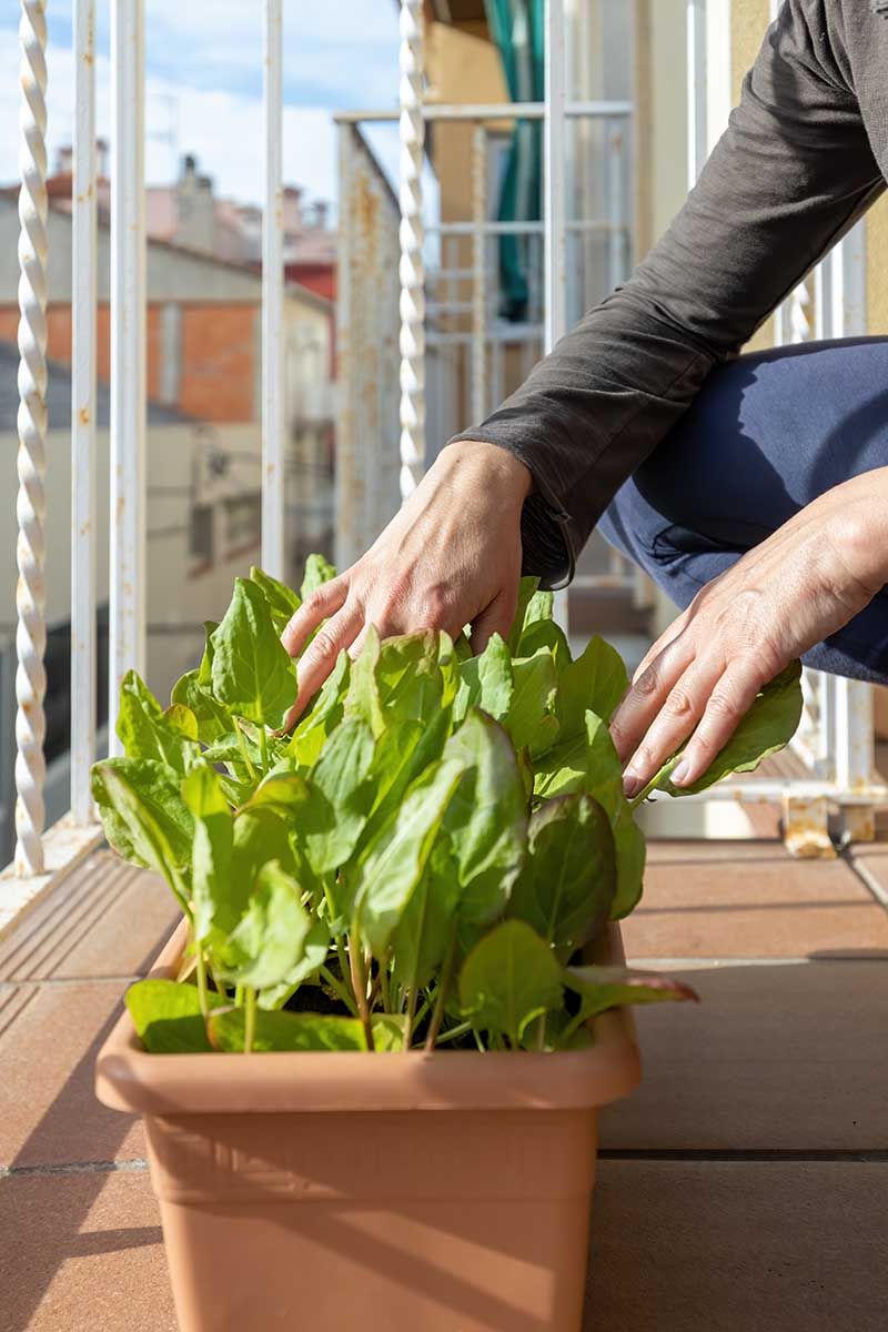 Adjust The Sunny Stoop For Summer