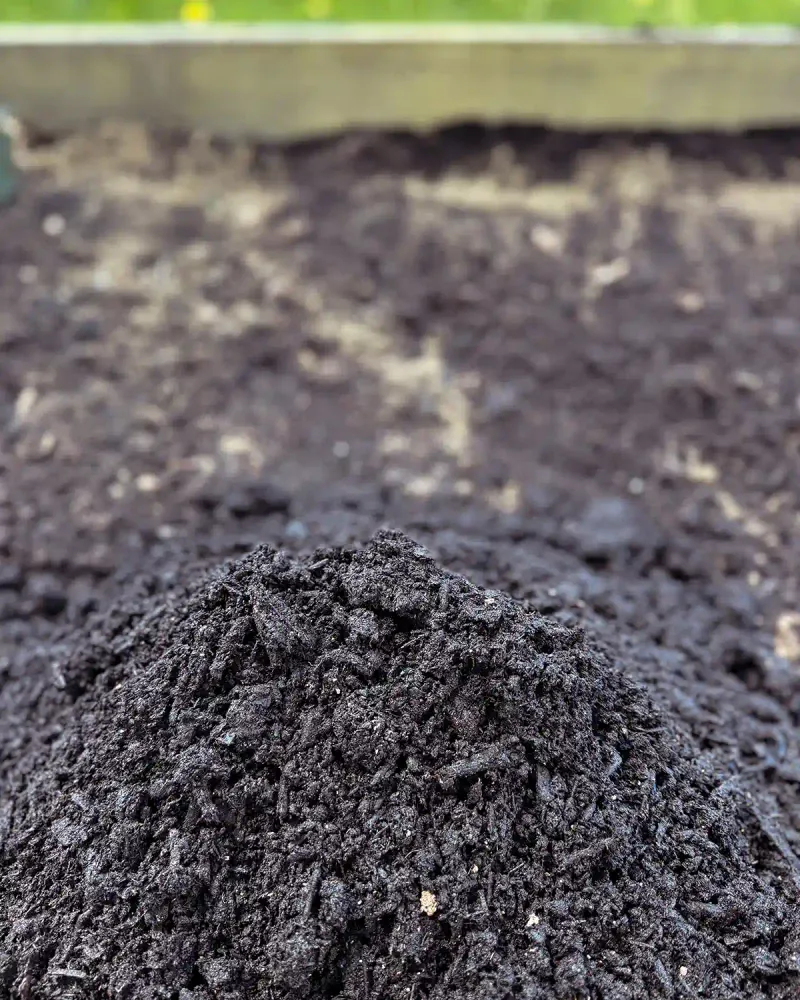 Clear Weeds And Correct The Soil First