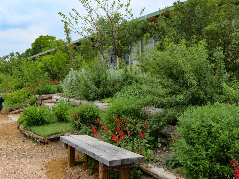 Plants Build Habitat, Not Guarantees