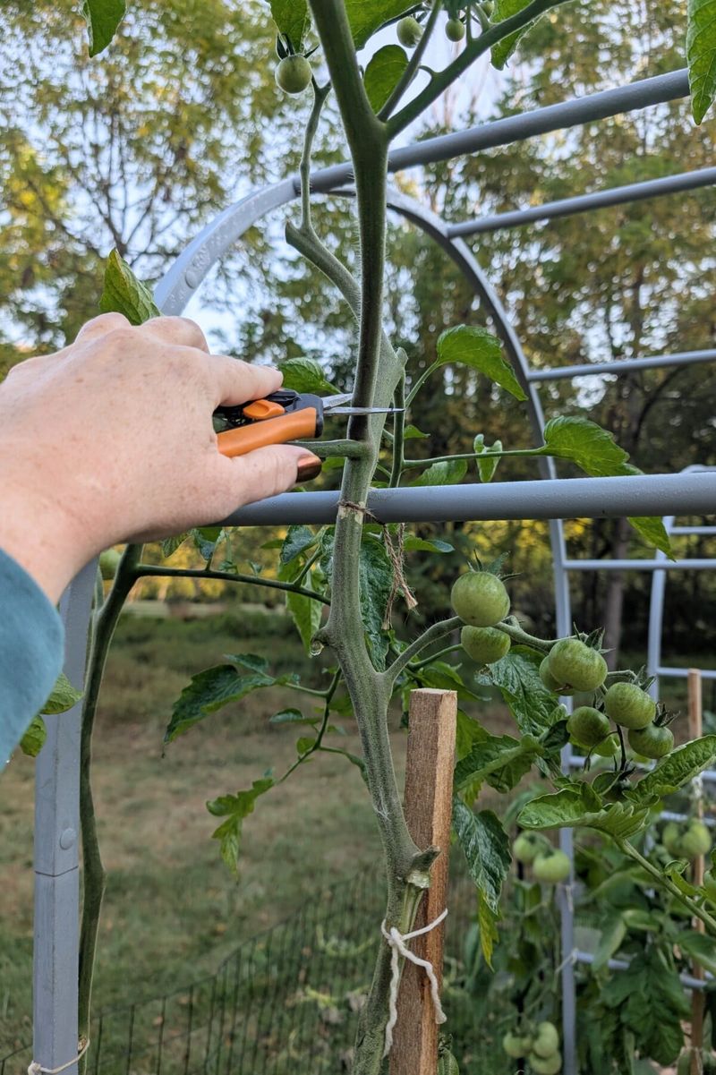 August Is Not Every Pennsylvania Gardener's Deadline