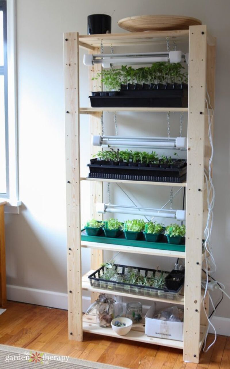 Give the First Sprout the Right Conditions