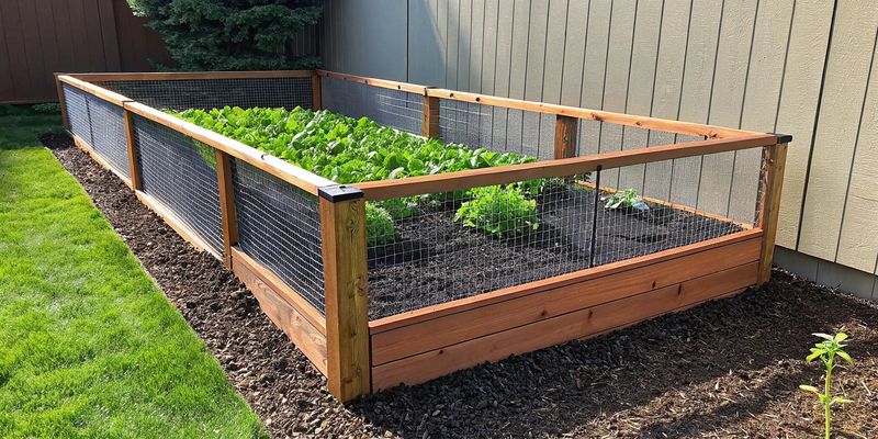 A Two-Foot Fence Changes the Story