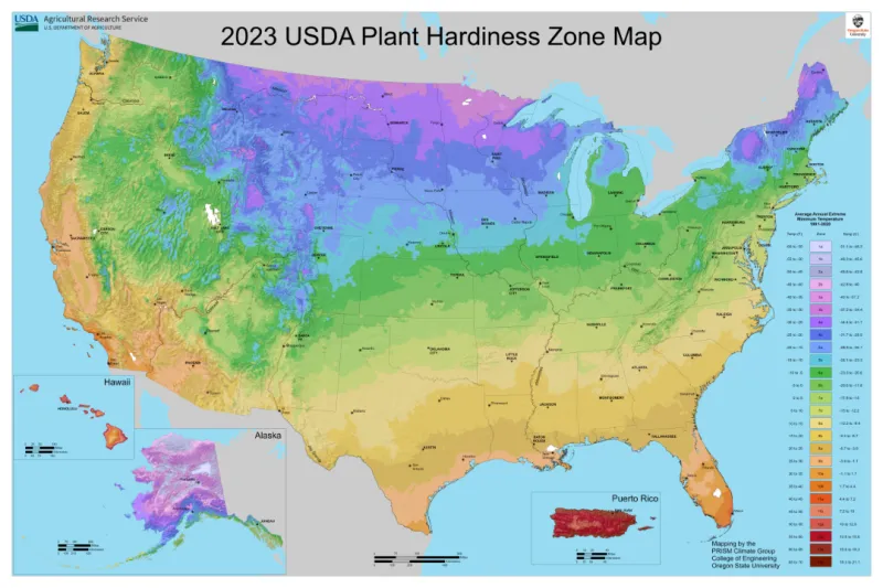 Pennsylvania Winters Change the Planting Decision