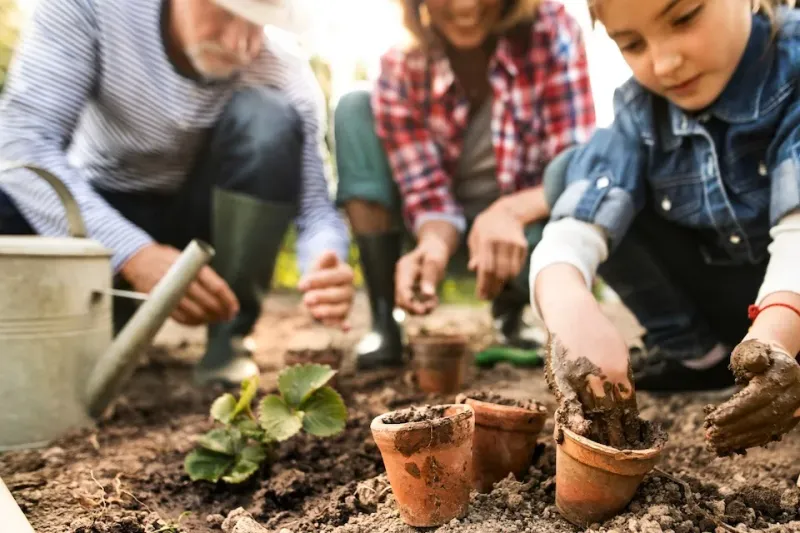 What A Garden May Ask Of Your Attention