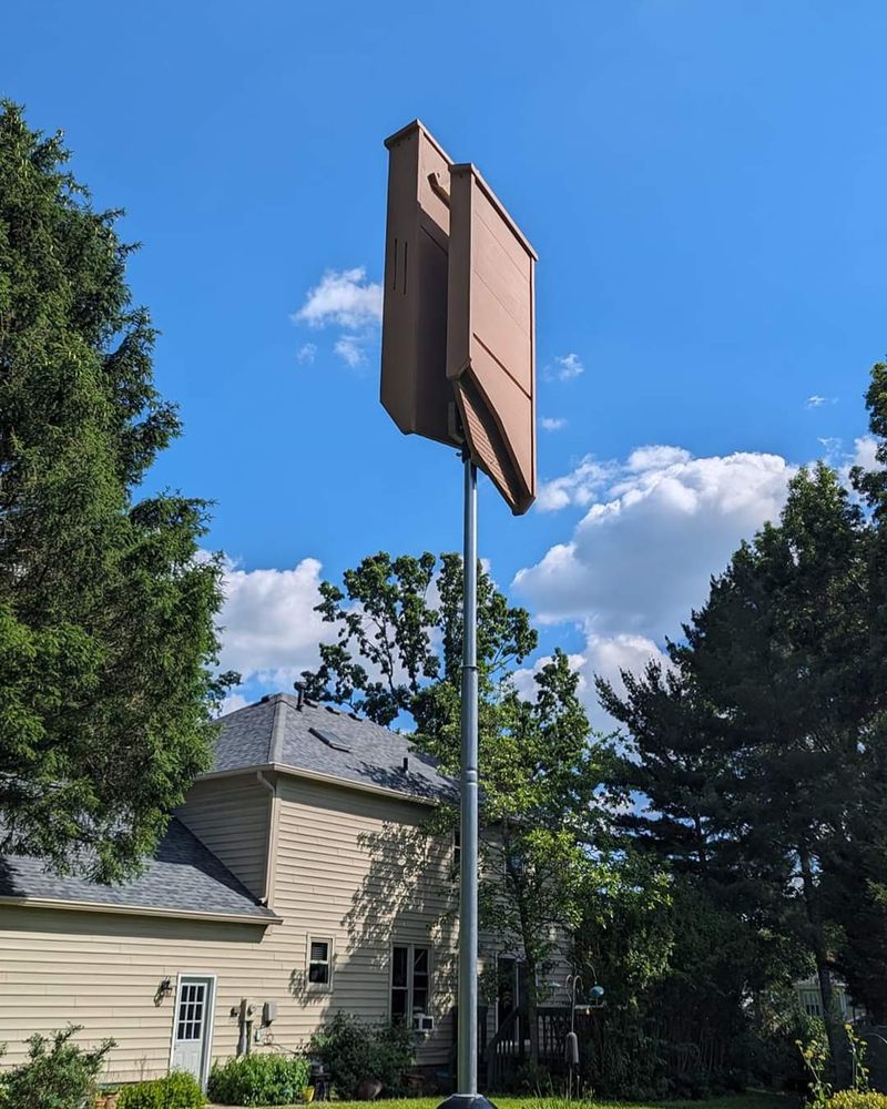 What a Bat House Can—and Cannot—Do