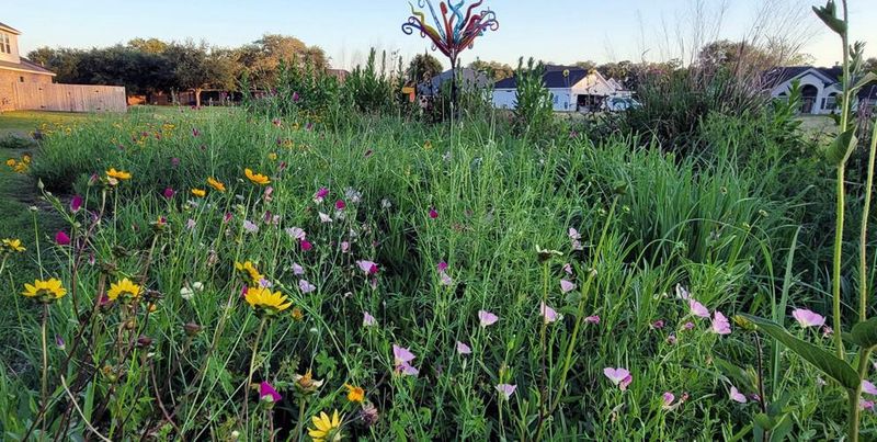 The Gulf Coast Haven Cultivating Local Legends