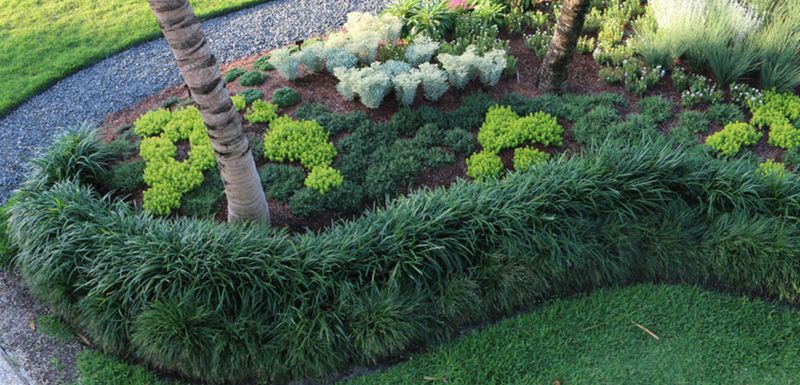 That Familiar Green Border Is Not Helping Your Florida Yard