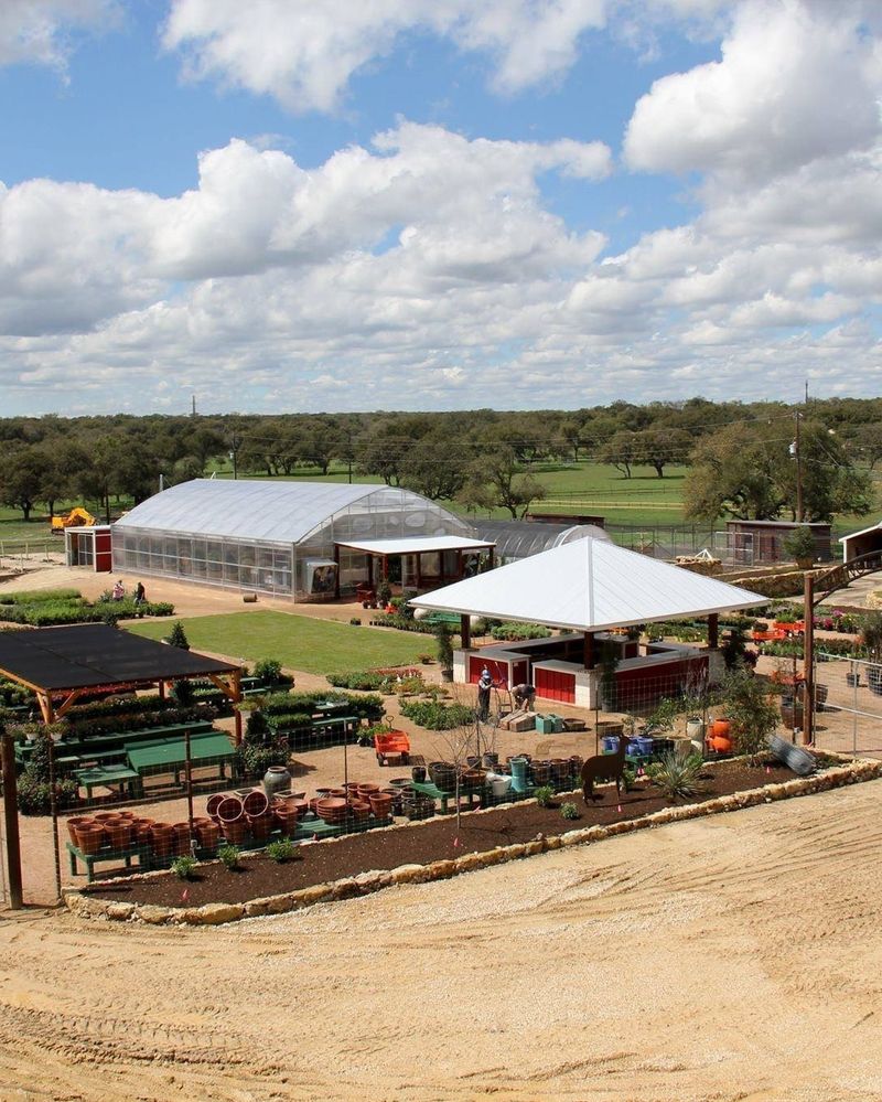 Spring Creek Gardens Charms The Hill Country