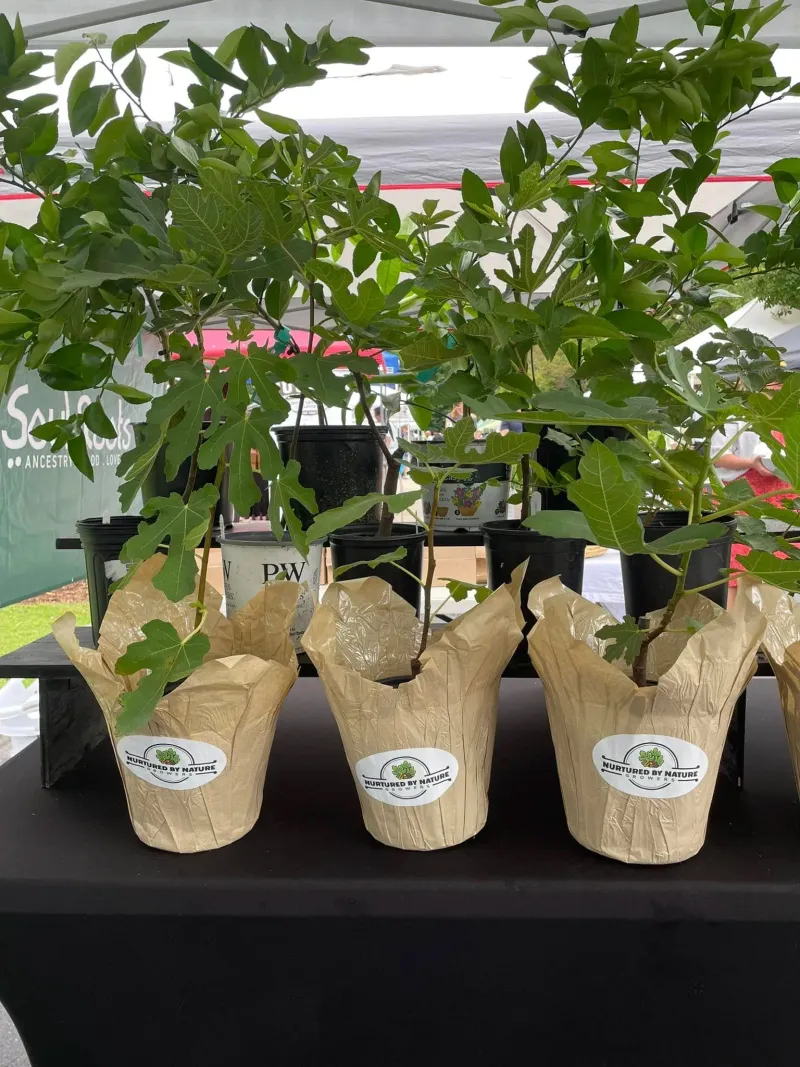 Nurtured By Nature Growers