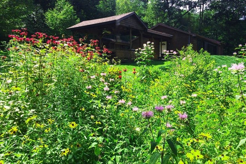 The Habitat Package Matters More Than A Plant Name