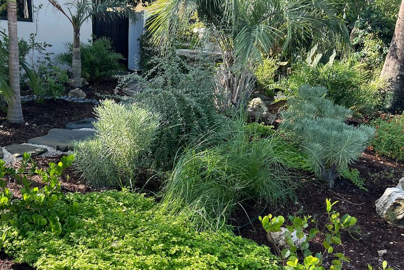 Match The Plant To The Florida Yard