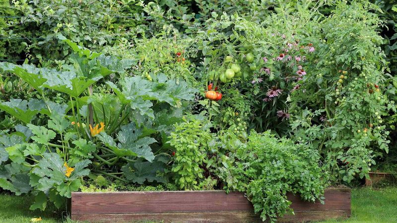 Choose Crops That Keep Paying Back