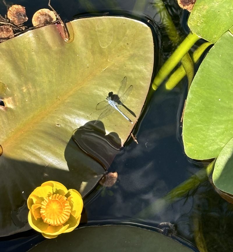 Water May Be Nearby, Not In Your Yard