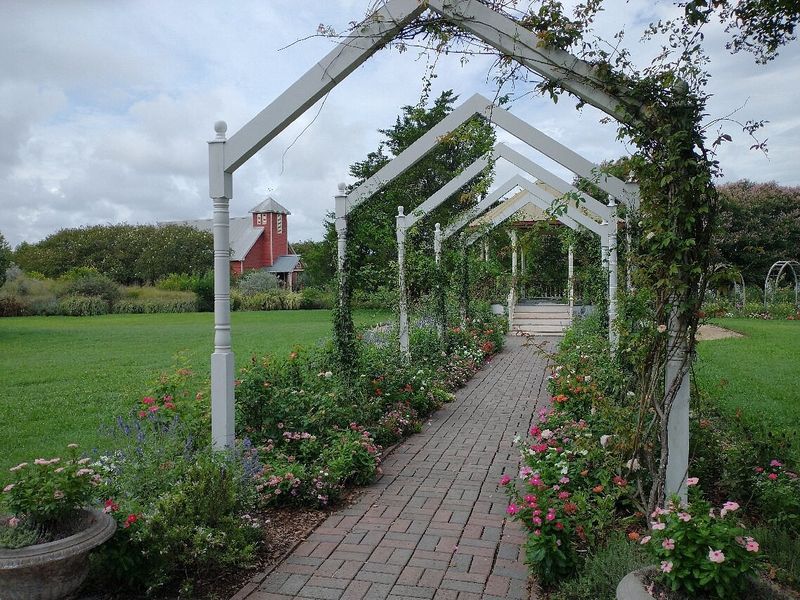 Antique Rose Emporium In Brenham
