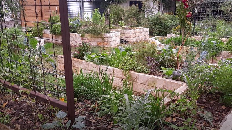 Ready Your Soil For Autumn's Bounty