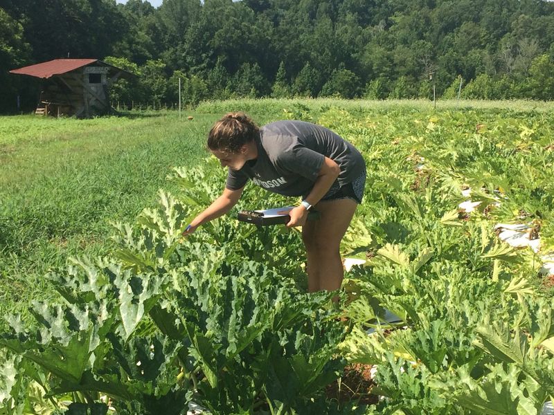 Small July Checks Catch Manageable Problems