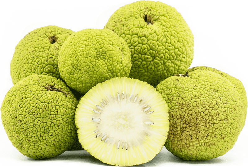 The Strange Green Fruit Is Osage Orange