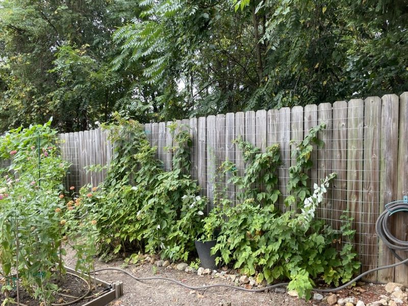 Build The Support Before You Plant