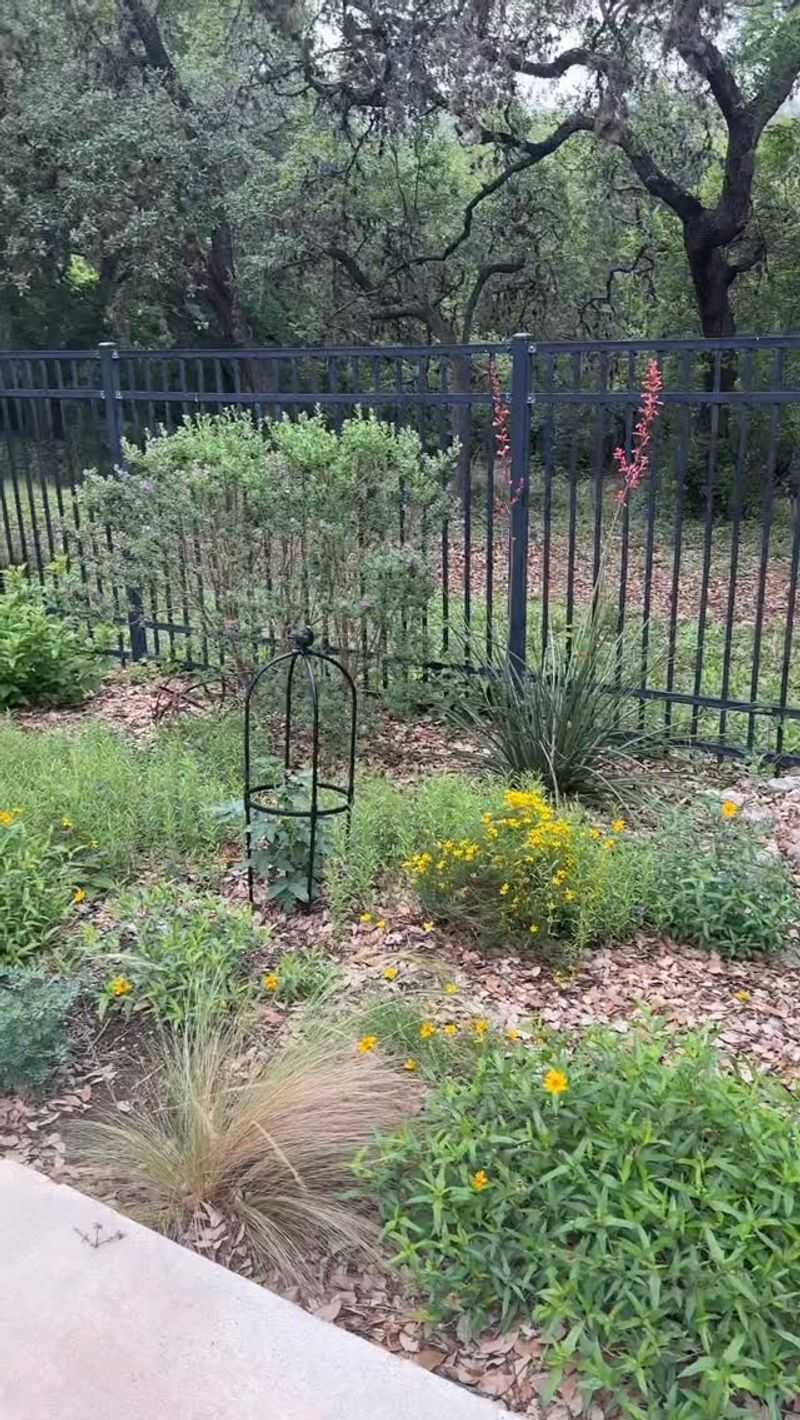Preserve Useful Cover Without Building A Lizard Habitat