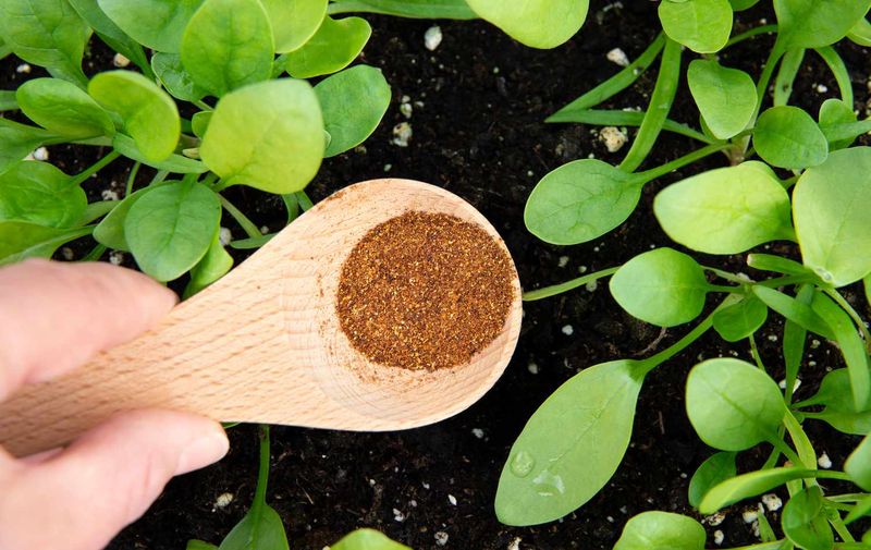 Unleashing The Power Of Capsaicin From Your Spice Rack