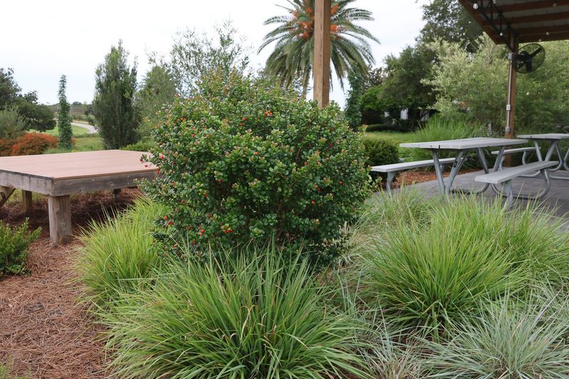 What Else Actually Helps Your Florida Landscape Thrive