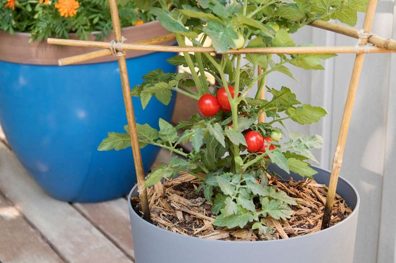 Start Small With A Container