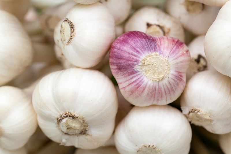 The Pungent Punch Of Garlic Keeps Them Guessing