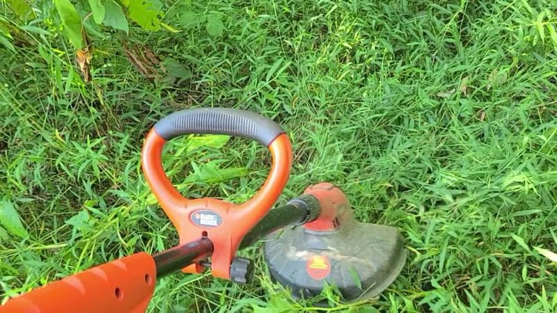 Build A Several-Season Control Plan