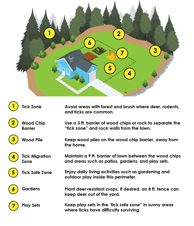 Make the Yard Less Favorable to Tick Exposure