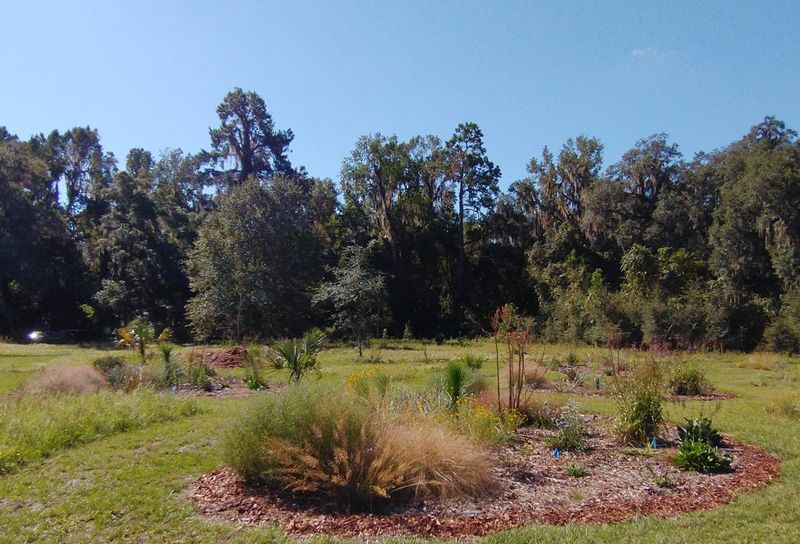Build A Yard That Does More Than One Job