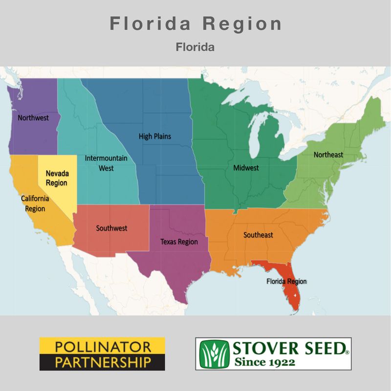Match The Plants To Your Part Of Florida