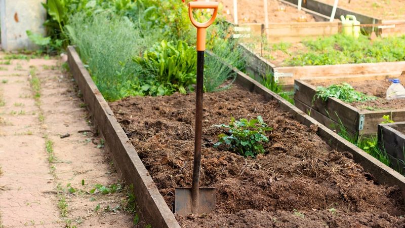 Prepare a Fine, Moisture-Holding Seedbed