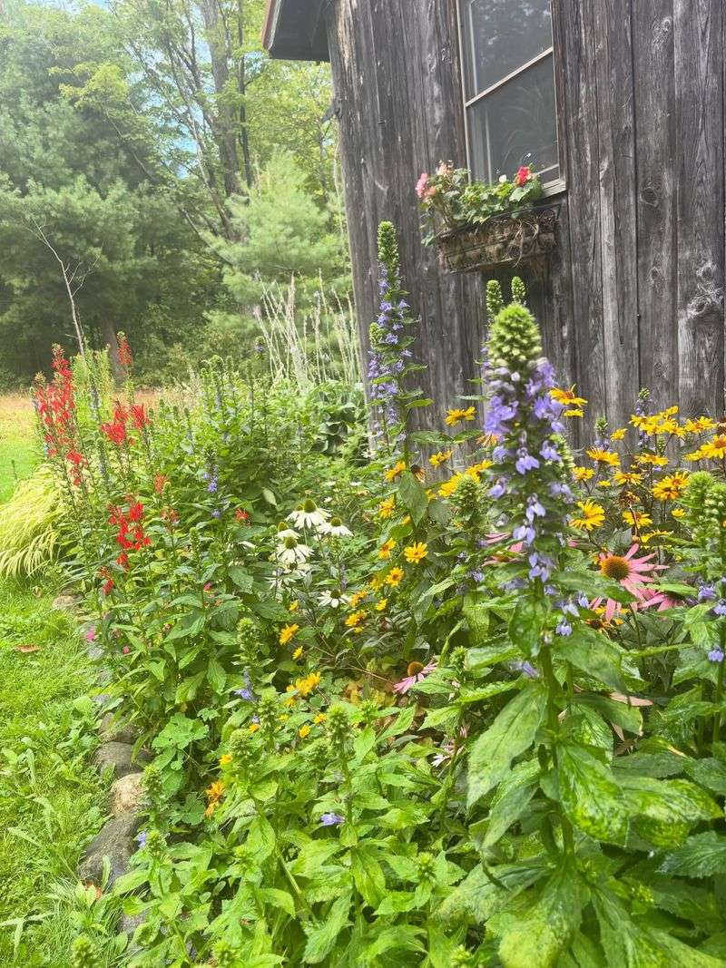 What Else Actually Helps A Self-Running Meadow