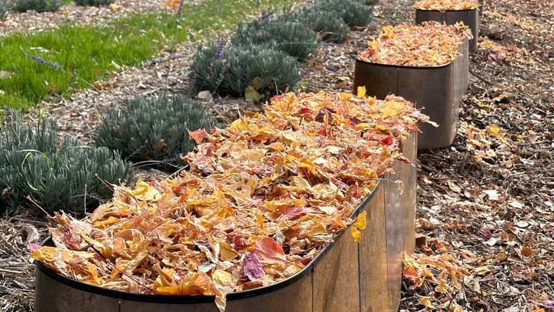 Protect Your Bulbs From The Cold