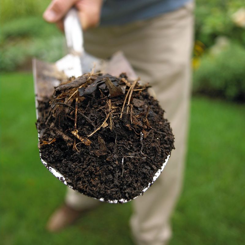 Soil Sense Makes All The Difference