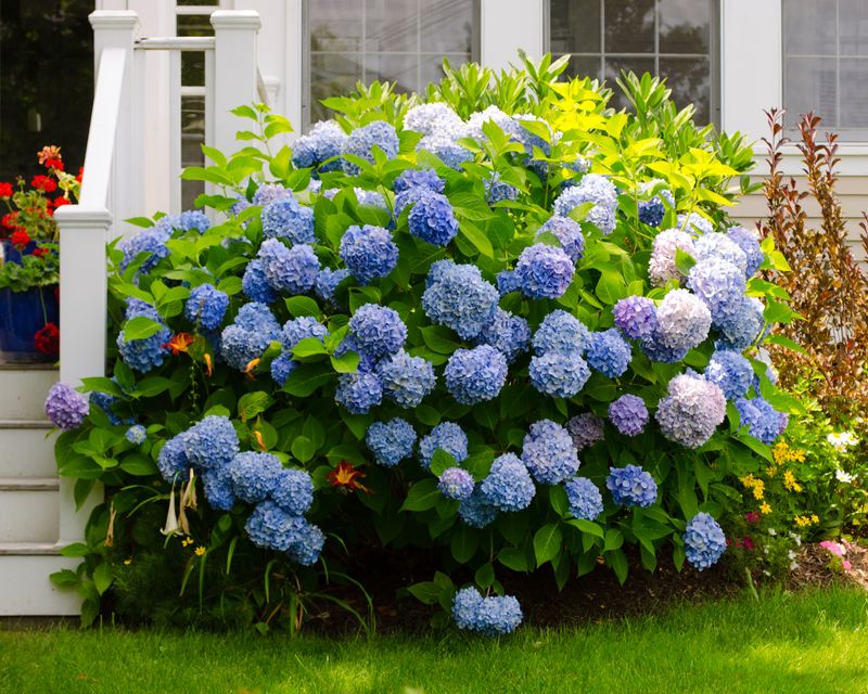 Adjust Mulch, Light, and Monitoring to the Site