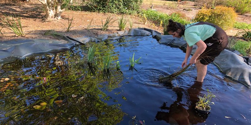 Improve Habitat Without Creating A Mosquito Problem