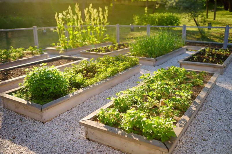 Design Around Real Meals and Reachable Space