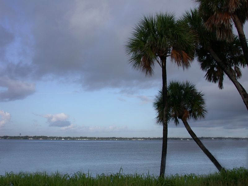Match the Palm to a Moisture Zone