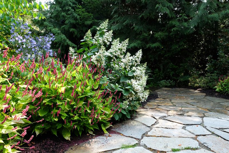 Choose Light and Moisture for Your Climate