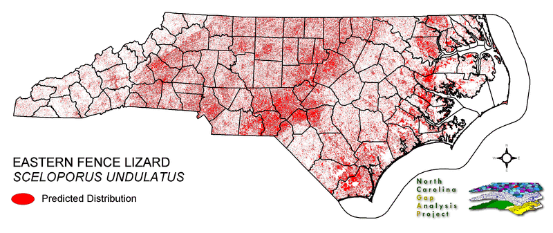 North Carolina’s Regions Change the Clues