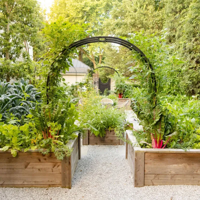 The Honest Return Includes Time Outdoors