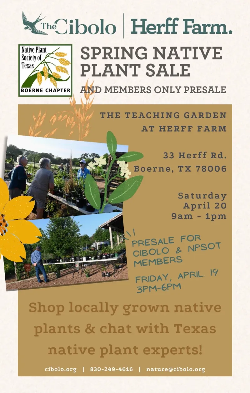 Native Plant Society Sales Hide Real Treasures