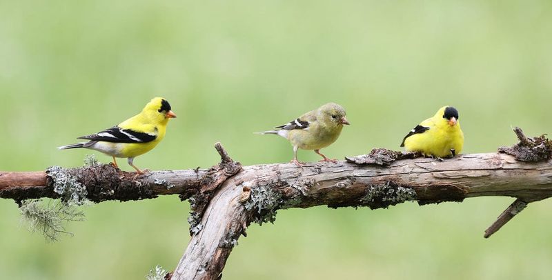 Texas Seasonality Changes the Story