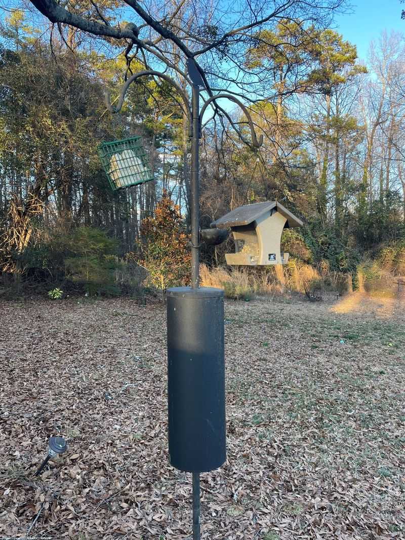 Use Feeder Barriers Before Pepper Powder