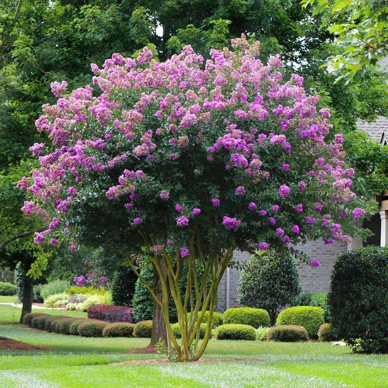 Use The Growing Season, Not A Rigid Deadline