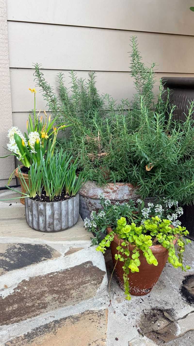 Let the Entryway Carry the Fragrance