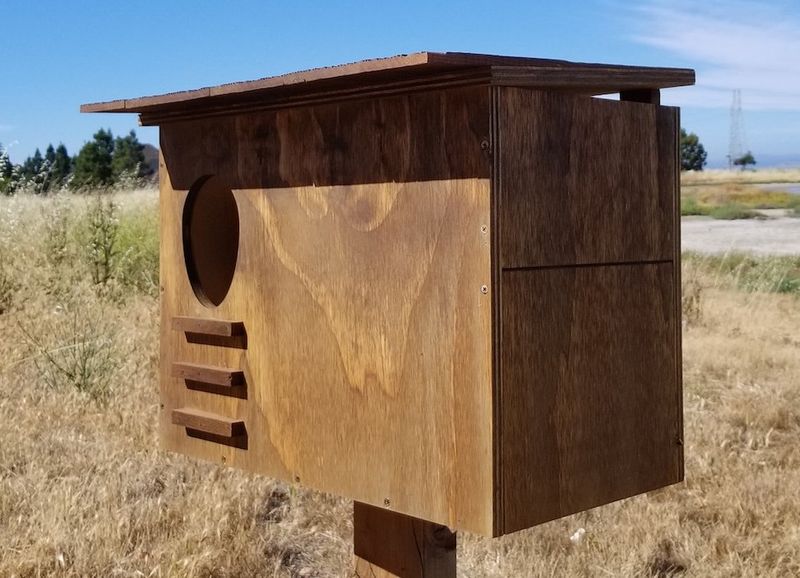 A Nest Box Only Helps In The Right Landscape